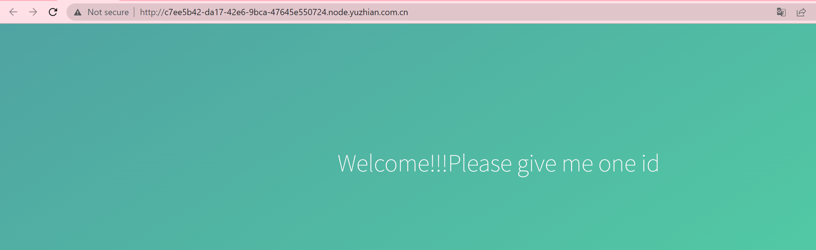 image-20221118234418609